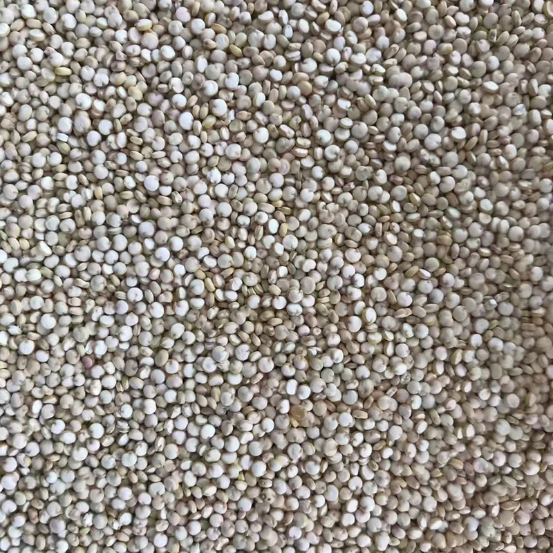 LEIDENE Kleine Quinoa van CCD de Sorteerdersmachine 1 van de Tarwekleur Helling