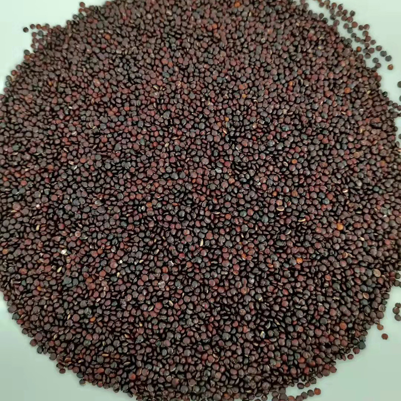 LEIDENE Kleine Quinoa van CCD de Sorteerdersmachine 1 van de Tarwekleur Helling