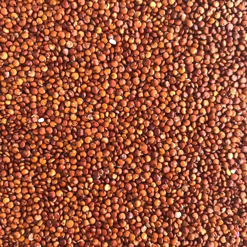 LEIDENE Kleine Quinoa van CCD de Sorteerdersmachine 1 van de Tarwekleur Helling