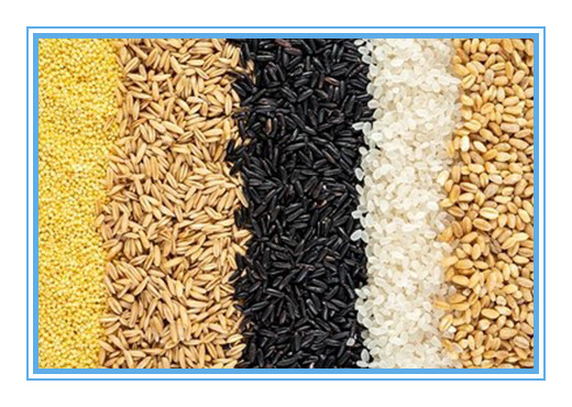 Grotere van de het Graankleur van de Capaciteitskorrel de Separatormachine met CCD-LEIDENE Lichten Heet in Brazilië