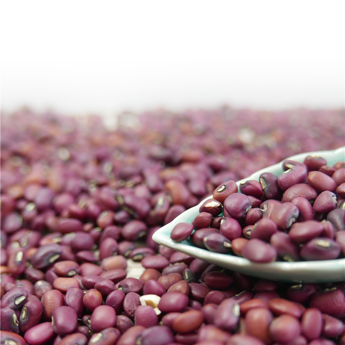 Van de Fabrieks In het groot Mini Red Beans Color Sorter van China Machine 1 Ton Per Day
