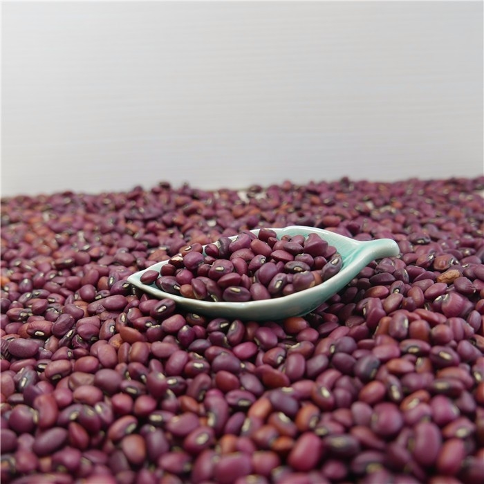 Van de Fabrieks In het groot Mini Red Beans Color Sorter van China Machine 1 Ton Per Day