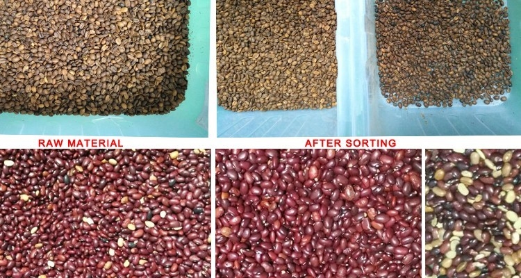 Van de Koffiebean sesame color sorter with van de beeldverwerking de Speciale Lens