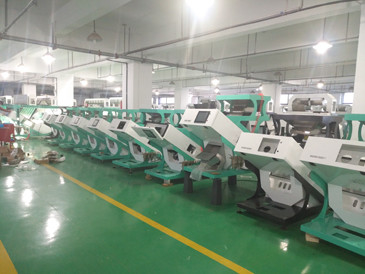 320 Sorteermachine van de de Camera de Optische Tarwe van de Kanalen 2-6T/H Productie CCD