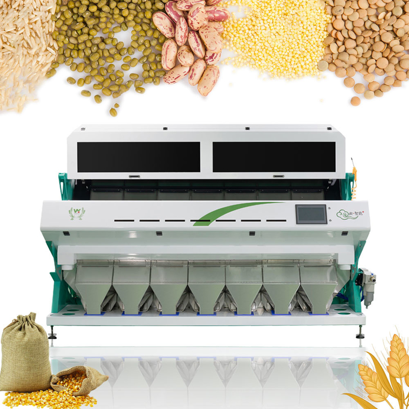 Van het Knoflookoptica van 448 Kanalen Plantaardige Olive Fruit Sorting Machine Unpeeled de Kleurensorteerder