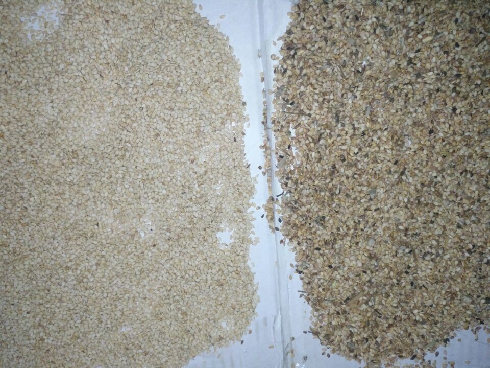 Van de de Sesamzonnebloem van lage Prijschina van de het Zaadkleur Quinoa van de de Sorteerderswatermeloen de Sorteerdersmachine van de Zaadkleur