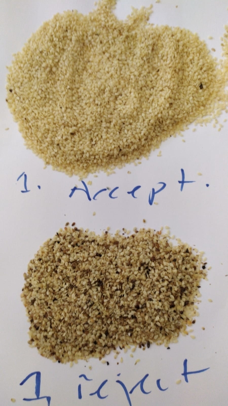 Van de de Sesamzonnebloem van lage Prijschina van de het Zaadkleur Quinoa van de de Sorteerderswatermeloen de Sorteerdersmachine van de Zaadkleur