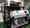Wenyao Kleine korrel kleur sorteermachine te koop Pindazaad kleur prijs Sorteermachine kleur sorteermachine fabrikant
