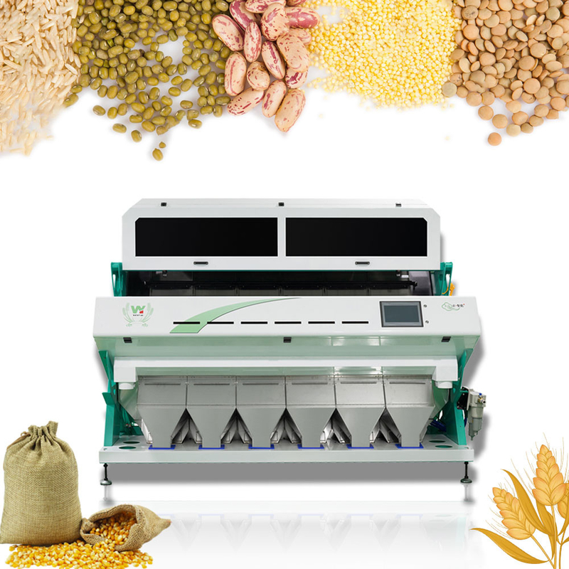 Hoge frequentie 6 Ce van de Korianderchili seeds color sorting machines van de Hellingenpompoen certifited