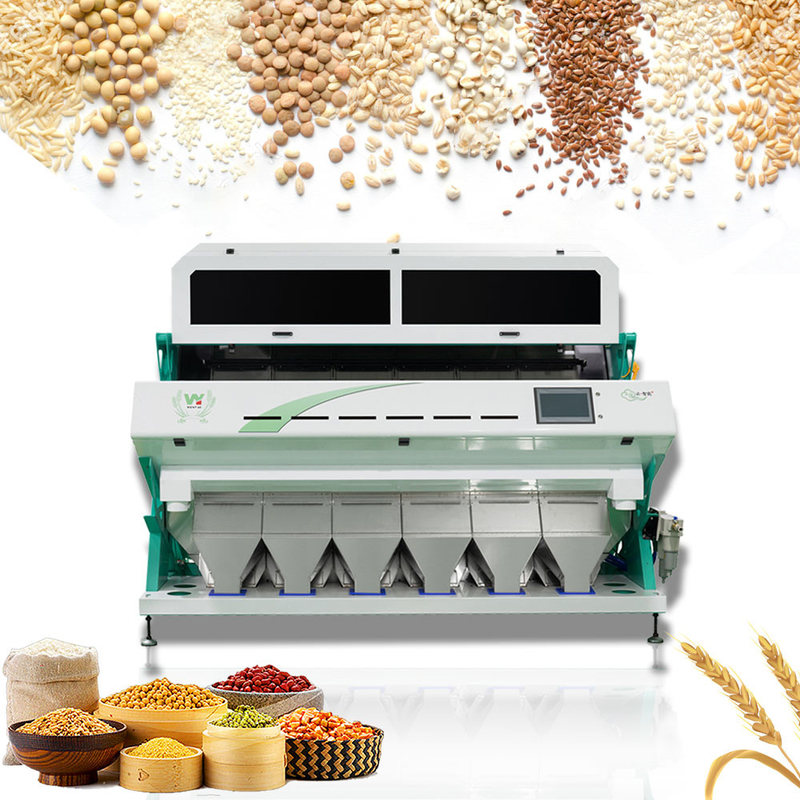 Hoge frequentie 6 Ce van de Korianderchili seeds color sorting machines van de Hellingenpompoen certifited