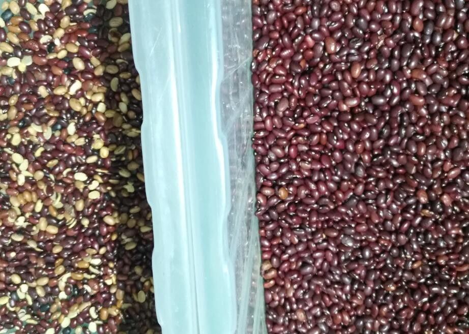 De rode Groene Productie van Bean Cardamom Multifunction Color Sorter 3t/H