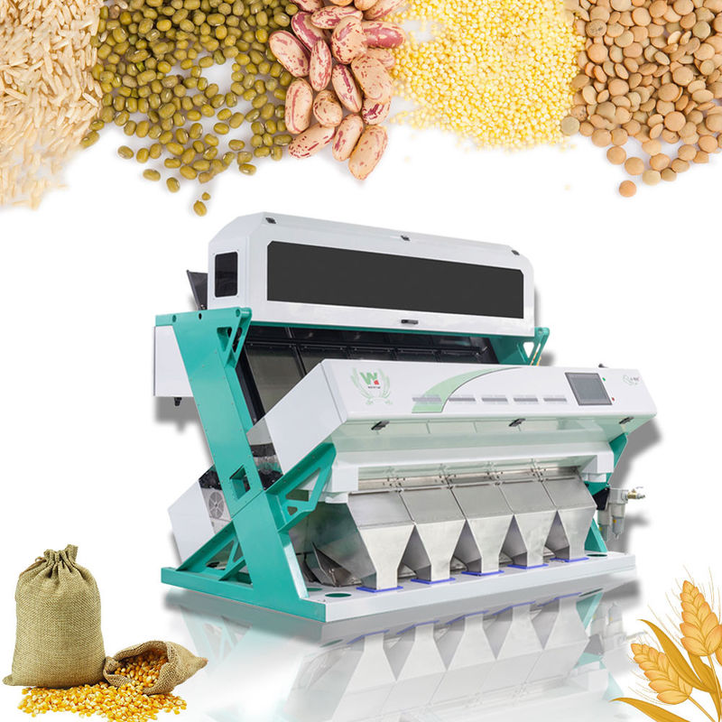 De gepelde van de de Okkernootrozijn van de Pindaamandel Hellingen van de de Kleurensorteermachine CCD 5
