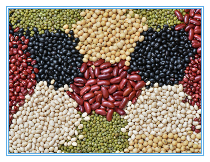 Multifunctionele Graanquinoa de Kleurensorteerder van de Tarwerijst Automatische Gegevensverwerking