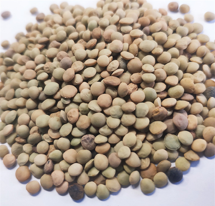 Multifunctionele Graanquinoa de Kleurensorteerder van de Tarwerijst Automatische Gegevensverwerking