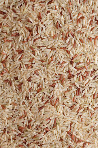 WENYao 4 Hellingen 256 van de de Prijs Ongepelde rijst van de Kanalenfabriek de Kleurensorteermachine