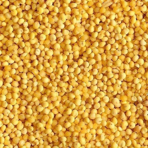 WENYAO 6 Hellingen 384 Sorteermachine van de de Gierstkleur van de Kanalenccd de Optische Hoge Capaciteit