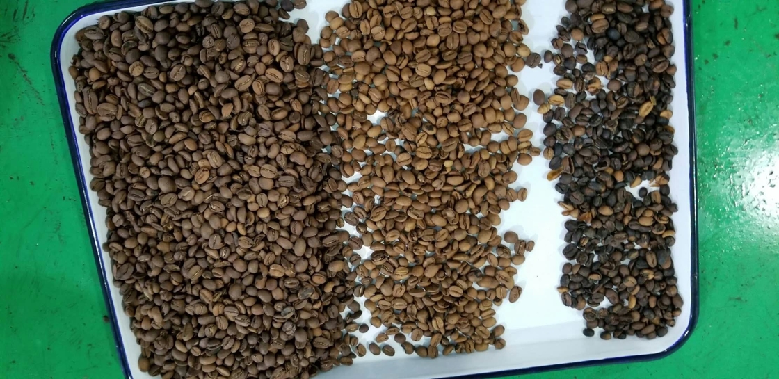 Soja Bean Color Sorter High Output voor de Notenrijst van de Korrelrijst