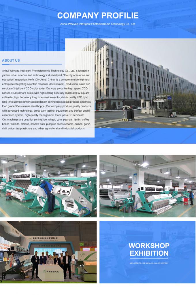Intelligente pruimen bosbessen kool kiwicha gebakken uien groenten fruit kleur sorteermachine voor de landbouw verwerking 25