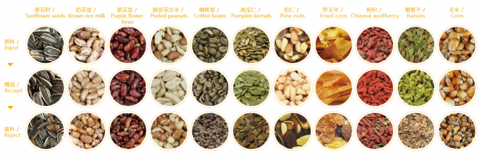Intelligente pruimen bosbessen kool kiwicha gebakken uien groenten fruit kleur sorteermachine voor de landbouw verwerking 4