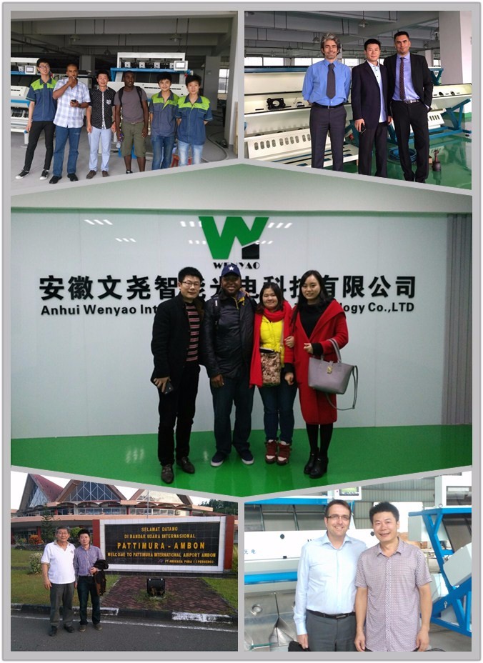 10 Chute Groen Blauw Bruin Wit Glas Kleur Sorter Machine voor kleur sorteren met WiFi afstandsbediening 9