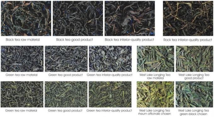 Wenyao CCD-theesorteermachine voor het sorteren van zwarte thee 2