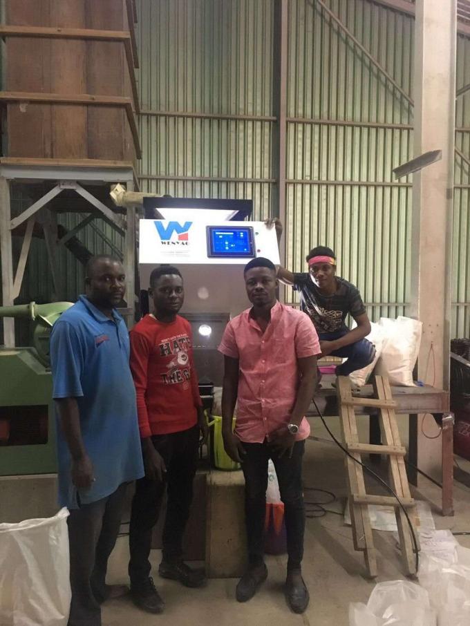 Zwarte kunststofvlokken Kleur sorteren machine Intelligente CCD kleur sorteren High Efficiency kleur scheiden machine voor PVC PET 16