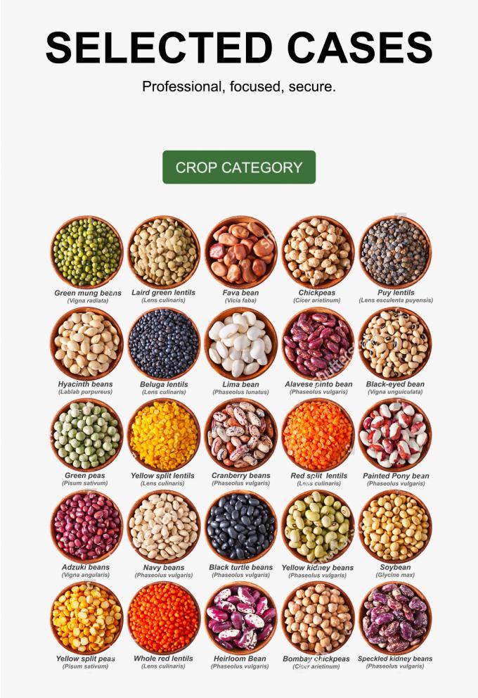 Hoge snelheid zelfreiniging voor granen rijstbonen Sorteren Operaties Kleur sorteren machine 8