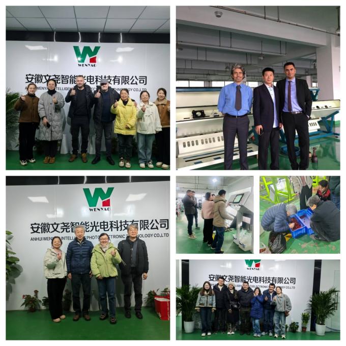 AI Learning Intelligent Belt Style Pistachio Nuts Kleur Sorter Machine 21