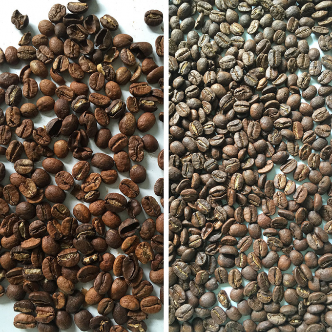 Wenyao 1 Chute 500kg/h Hoge uitvoer CCD kleurseparator geroosterde koffiebonen Kleur sorteren machine Groene bonen kleur sorteren 4