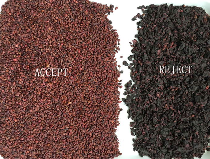 320-kanalen optische CCD-kleursorteerder 2