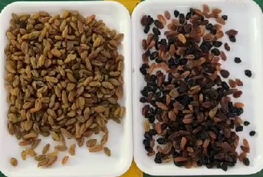 320-kanalen optische CCD-kleursorteerder 3