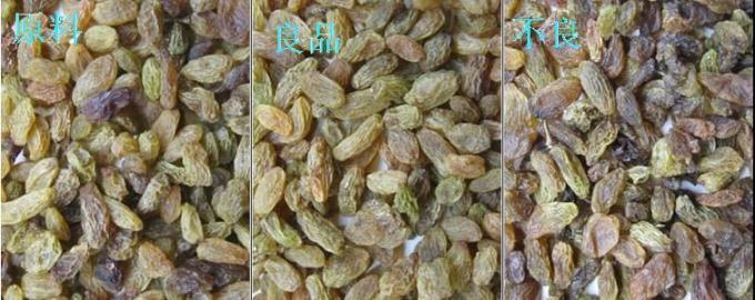 320-kanalen optische CCD-kleursorteerder 4