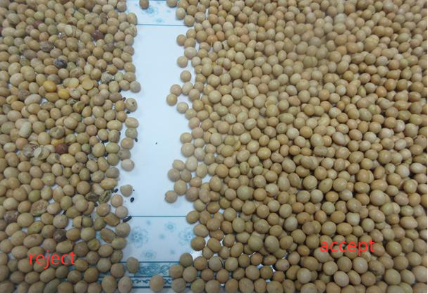 Intelligente kleurseparator CCD-camera Graan Rijst Sojabonen Kleur Sorter voor de landbouw 4