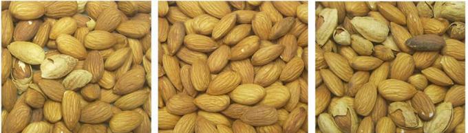 AI Learning Intelligent Belt Style Pistachio Nuts Kleur Sorter Machine 13