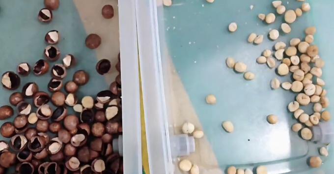 AI Learning Intelligent Belt Style Pistachio Nuts Kleur Sorter Machine 14