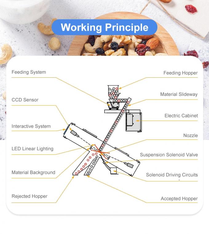 Intelligente 6 chute cashewnoot kleur sorteren machine met Toshiba CCD sensor en RGB camera 4
