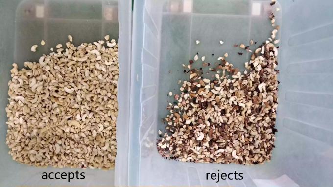 Intelligente 6 chute cashewnoot kleur sorteren machine met Toshiba CCD sensor en RGB camera 6