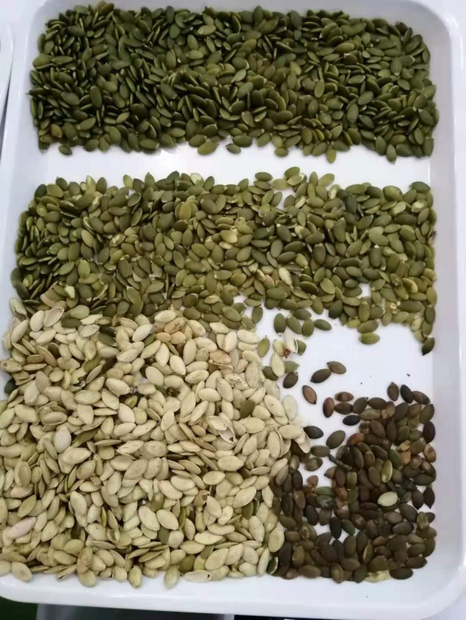 Wenyao nieuwste optische CE-certificaat pompoenzaden watermeloenzaden kleur sorteren machine 11