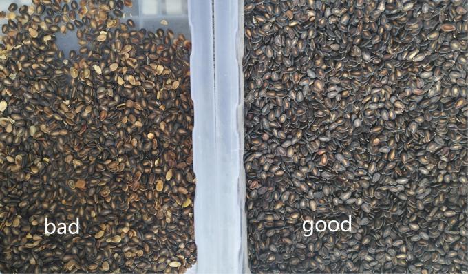 Wenyao nieuwste optische CE-certificaat pompoenzaden watermeloenzaden kleur sorteren machine 12