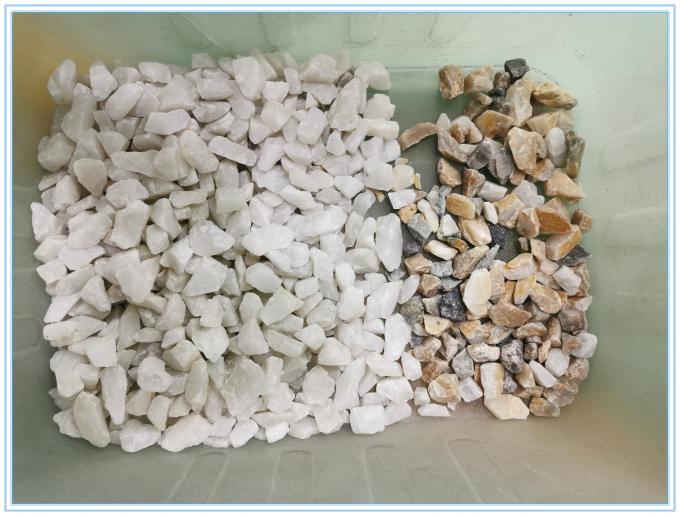 Wenyao Heavy Duty Intelligent RGB CCD Camera Chili Pepper Knoflook Kleur Sorter Machine 8