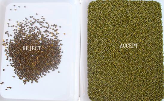 Wenyao Intelligente Fabriek Direct Verkoop Nierbonen Pinda's Gries Kleur Sorteren Machine 12