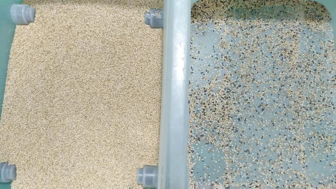 Wenyao Chinese Fabriek 7 Chute Style High Technology Graan Sesam Kleur Sorteren Machine 4