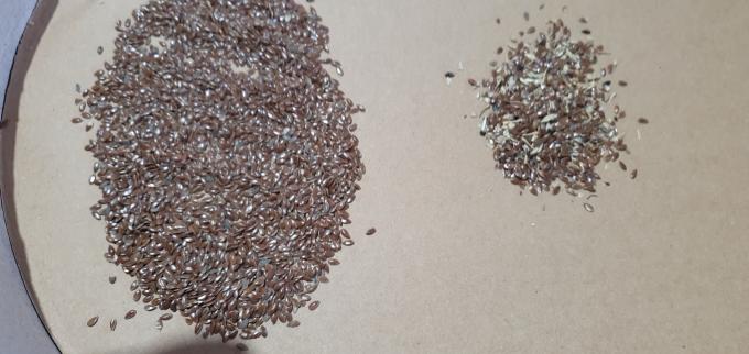 Wenyao 2025 Warm verkoop Zaden Sorteren Volledig automatisch Chia Zaden Linnen Zaden Kleur Sorteren Machine 13