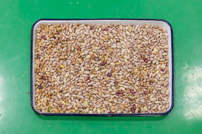 Wenyao Nieuwste afstandsbediening Intelligente Graan Rode Nier Bonen Kleur Sorteren Machine 4