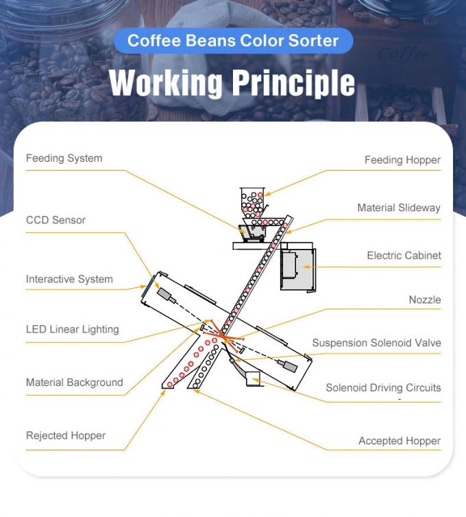Weanyao Multifunctionele aanpasbare CCD-camera Groene en geroosterde koffiebonen Kleur sorteermachine 3