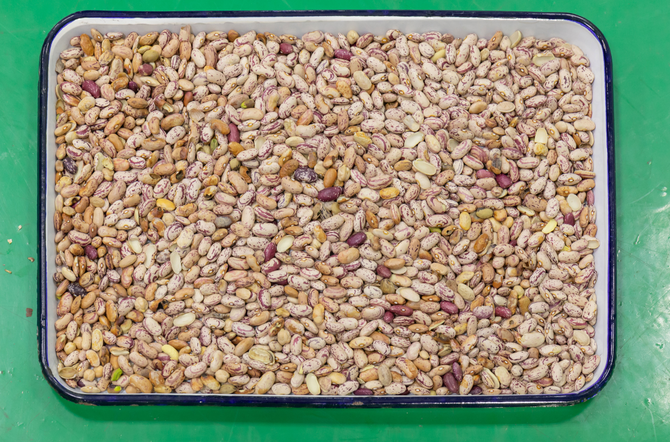 Wenyao Full Automatic 3 Chute Soja Broad Kidney Bean Kleur Sorter Machine 4