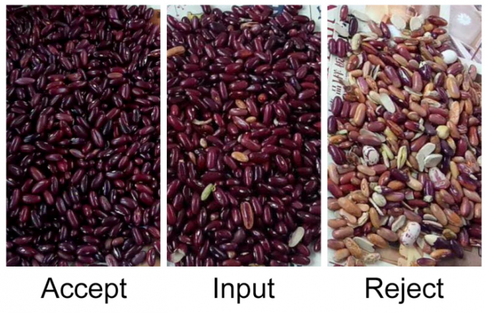 Hoge nauwkeurigheid Intelligente Nierbonen Roodbonen Optische Kleur Sorter Machine 9