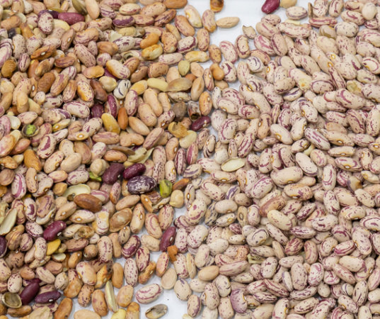 Hoge nauwkeurigheid Intelligente Nierbonen Roodbonen Optische Kleur Sorter Machine 11