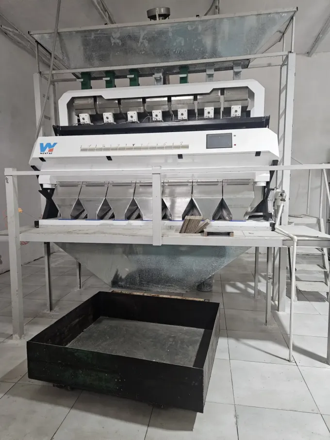 Wenyao Automatische en Efficiënte Plastic Snippers en Plastic Korrels PET PVC Kleursorteermachine 5
