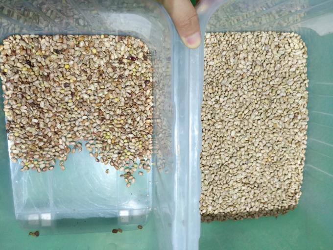 Wenyao optische hoogwaardige sorteringsmachine Nierbonen Braziliaanse bonen Kleur sorteermachine 4